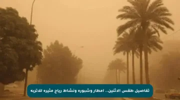 تفاصيل طقس الاثنين.. أمطار وشبورة ونشاط رياح مثيرة للأتربة